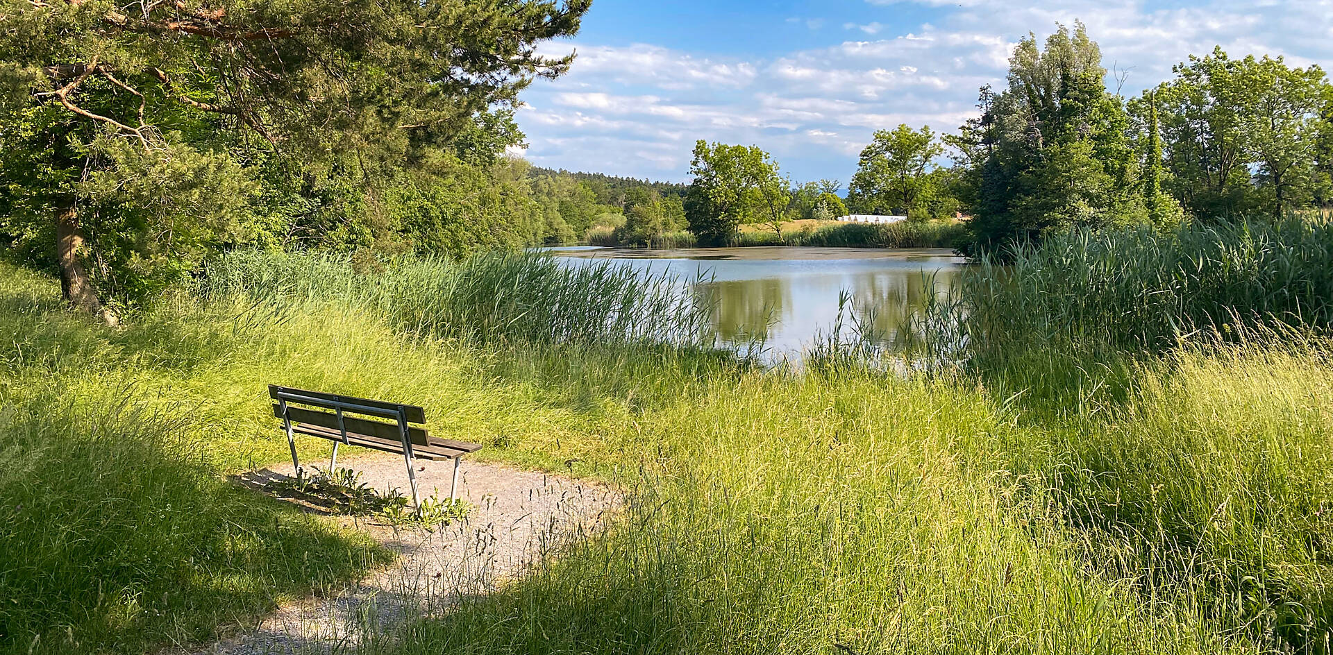 Schübelweiher