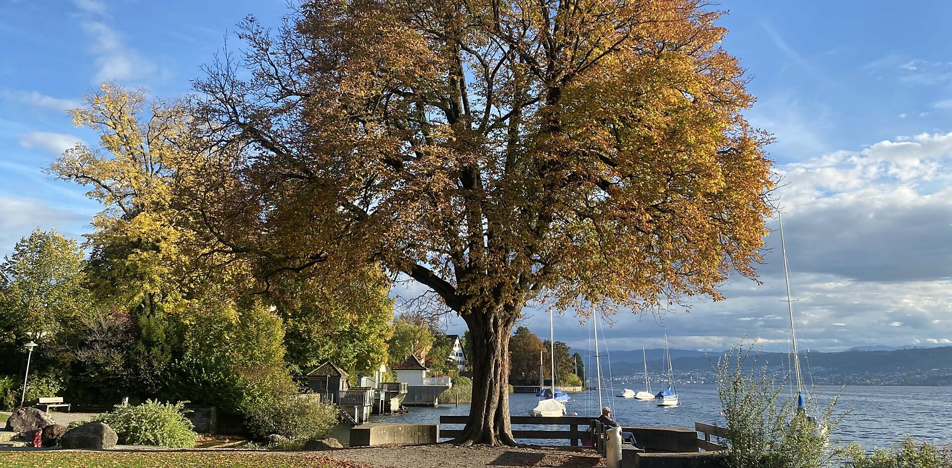 Herbst_Seeufer030